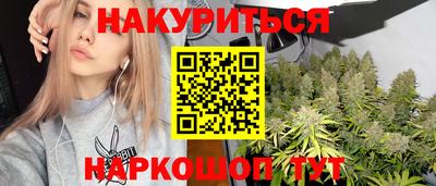 сатива Апшеронск