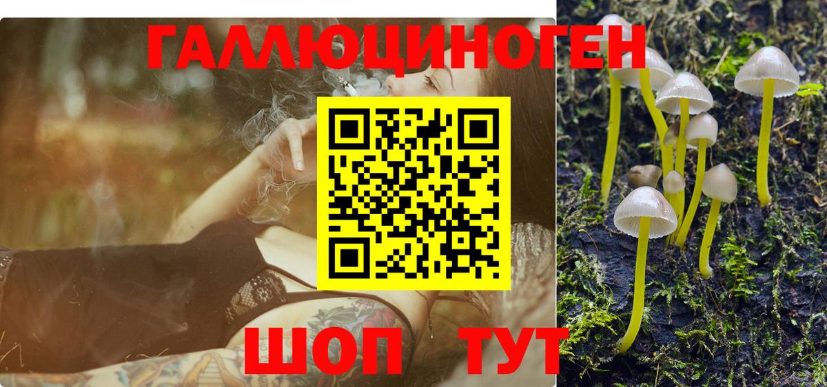 Галлюциногенные грибы прущие грибы Богородск