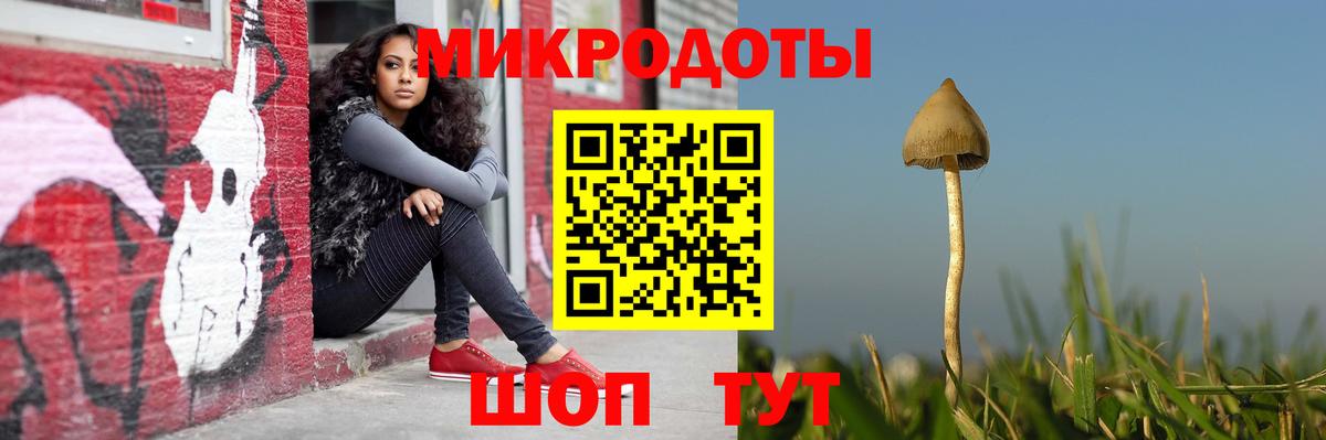 Галлюциногенные грибы Magic Shrooms  Псилоцибиновые грибы MAGIC MUSHROOMS  Богородск  Вход с VPN 